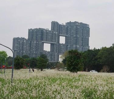 Van Giang Apartment | 3M Home Skyforest Ecopark Van Giang, Hung Yen