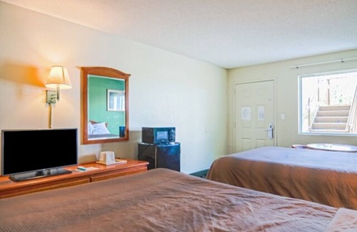 Ashburn Hotel | 4 Accommodations of Pet-Friendly Rooms | Perfect for Family | Free Parking