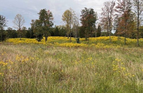 Gnaw Bone Other | 4-bedroom farmhouse on 32 acres of private land with fishing pond and creek.