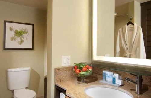 San Jose Hotel | 4 Captivating Units, Minutes’ Drive from San Jose McEnry Convention Center