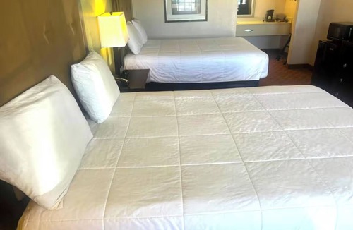 Whitesboro Hotel | 4 Essential Rooms with 2 Queen Beds Near Local Parks - Relax and Unwind