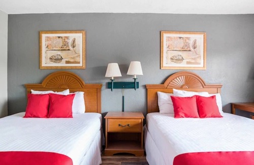 Silver Springs Hotel | 4 Pet Friendly Rooms Near Downtown Ocala and with Outdoor Swimming Pool