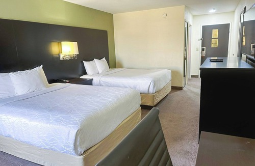 Mount Berry Hotel | 4 Rooms | Modern Double Queen Room | Comfortable Rome Stay Near Local Activities