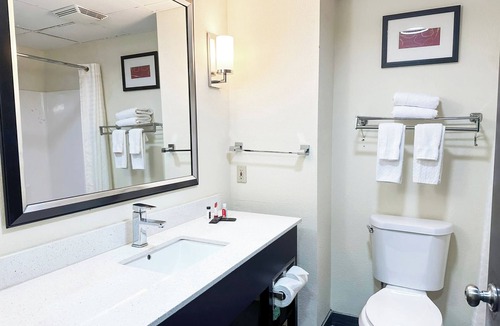 Mount Berry Hotel | 4 Rooms | Modern Double Queen Room | Comfortable Rome Stay Near Local Activities