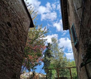 Anghiari House | 44 Ricci