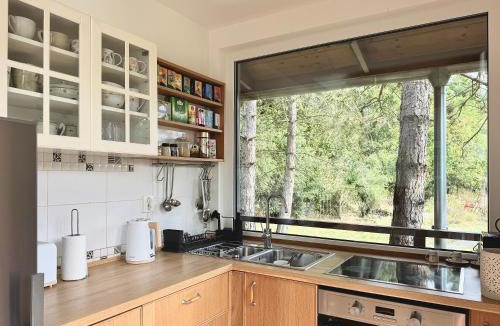 Velka Lecice House | 4borovice