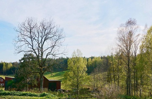 Fengersfors House | 5 person holiday home in Fengersfors
