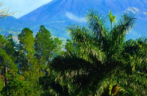 Cachi House | 5 Star Charming Private Mountain Bungalow w/Volcano View Perfect Climate Utopia