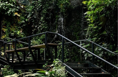 Pratunam Hotel | 515 VICTORY Hotel