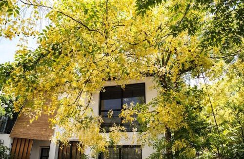 Kirula Apartment | 519@jamtree