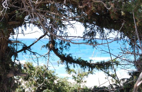 Fontanelle Villa | 6 bed cottage with barbecue garden and parking space 100 meters from the sea