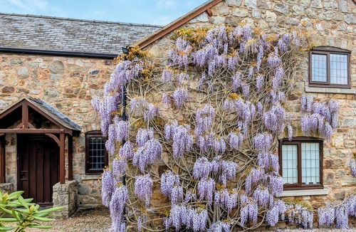 Weston Rhyn Cottage | 6 bedroom accommodation in Weston Rhyn, near Oswestry