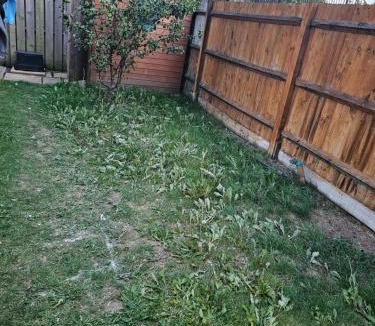 Dartford House | 66 Central Road
