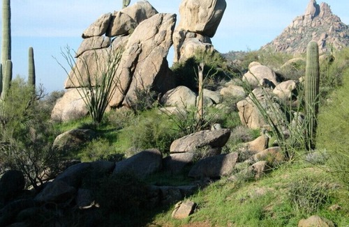 Troon North Villa | 7 Nights of Desert Paradise 3/10-17 -- 2023 Spring Break & Spring Training
