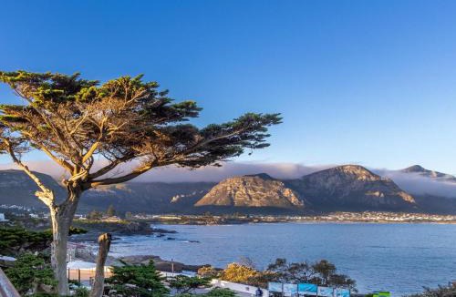 Hermanus City-Centre Apartment | 74 on Marine