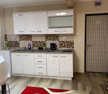 Cavnic Apartment | 8 RESIDENCE APARTAMENT