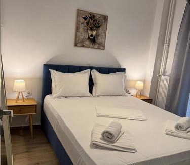 Ampelokipoi Apartment | A&C Urban Elegance