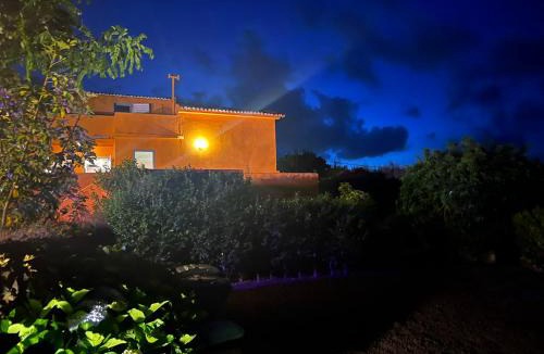 Capelas House | A Casa Amarela