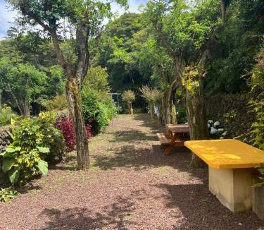 Capelas House | A Casa Amarela