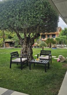 Guidonia Montecelio House | A Casa di Dody