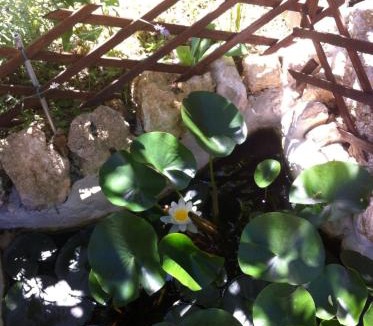 Vazia Bed & Breakfast | A casa di mamma
