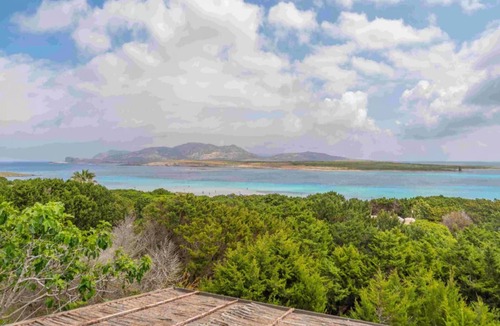 La Pelosa Apartment | A charming accommodation surrounded by greenery