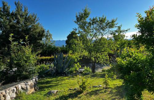Moruzzo Bed & Breakfast | A Cjase di Sandra