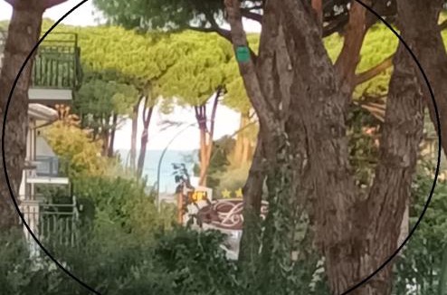 Pinarella Apartment | A due passi dal mare