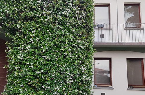 Somma Lombardo Apartment | A few kilometers from the two terminals of Malpensa Airport.