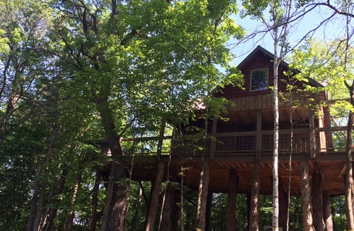Morrison County Cabin | A Four Seasons Tree House With All Amenities Of A Home