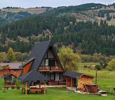 Vatra Dornei Cabin | A Frame Alpin