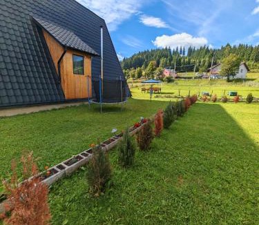 Vatra Dornei Cabin | A Frame Alpin