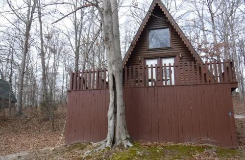 Eckerty House | A-Frame Cabin #4 on Patoka Lake in Southern Indiana