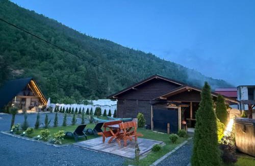 Albac House | A-frame Cernat