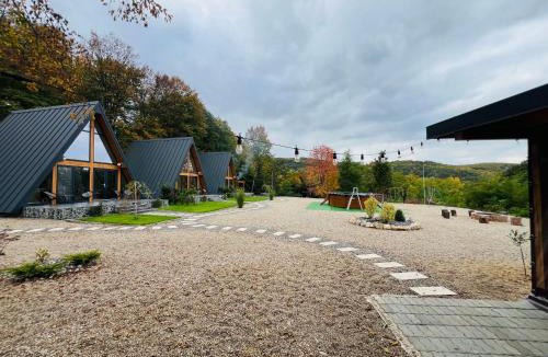 Vadu Crisului House | A-frame Marisa Vadu Crisului