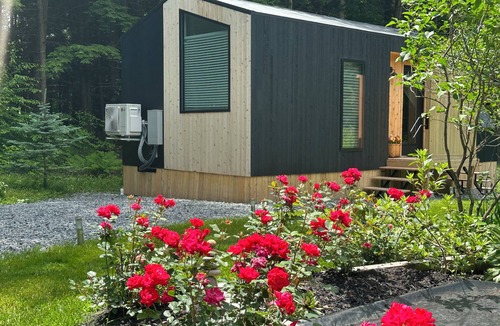 Greenfield Center Cabin | A-Frame Tiny home in the forest