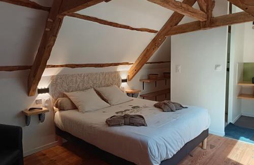 Saint-Malon-sur-Mel House | A La Mémoire de Merlin " Gîte Le Miroir Aux Fées "