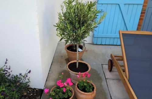Esse Cottage | A lovely, hidden gem close to the beautiful town of Confolens.