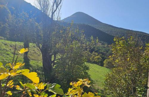 Eygluy-Escoulin Bed & Breakfast | A PAS D ANE
