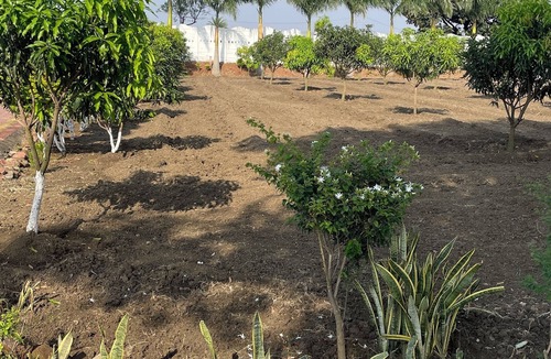 Sehore House | “A Peaceful Haven Amidst Nature”