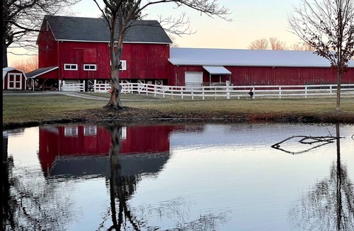 East Springfield Cabin | A peaceful place to unwind and relax for all who visit.