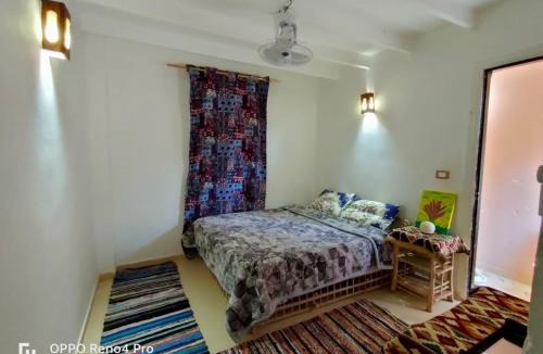 Siwa Bed & Breakfast | A&S House