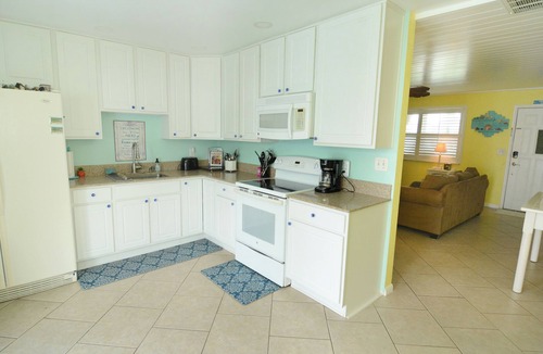 North Ormond Beach House | A Slice of Paradise - unlimited well mannered pets