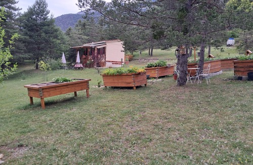 Saint-Auban Ski Chalet | A small cabin in the meadow