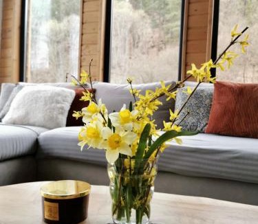 Izvoare Ski Chalet | A Sziget
