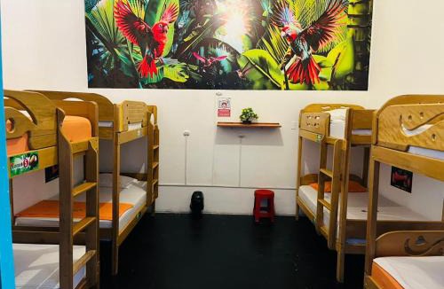 Iquitos Bed & Breakfast | A&T Amazon Backpackers