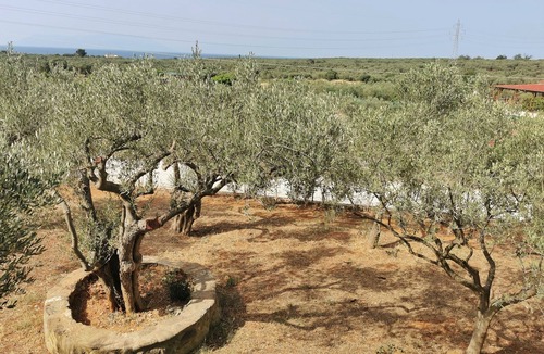 Alexandroupoli Villa | A tastefully decorated rustic country house Pet friendly - ideal for families