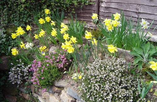 Farden Cottage | A Traditional Detached Cottage set in a country lane in the hills near Ludlow