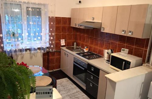Emanoil Gojdu Apartment | A3M APARTMENT