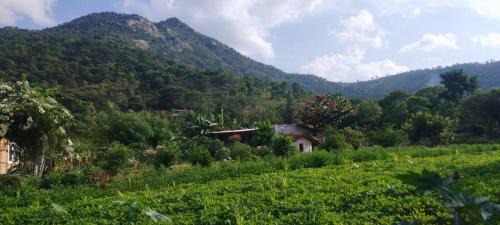 Anchetti House | Aalamaram Farm